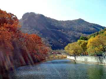 澳门精准正版免费大全14年新，餐巾纸机器